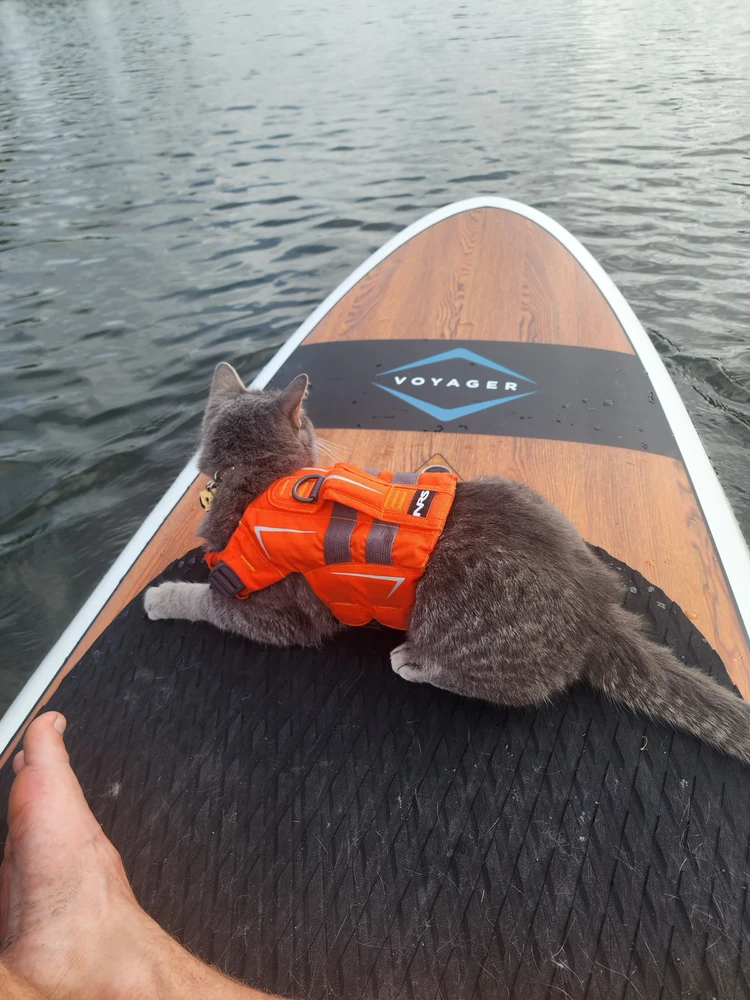 Image uploaded by Ethan