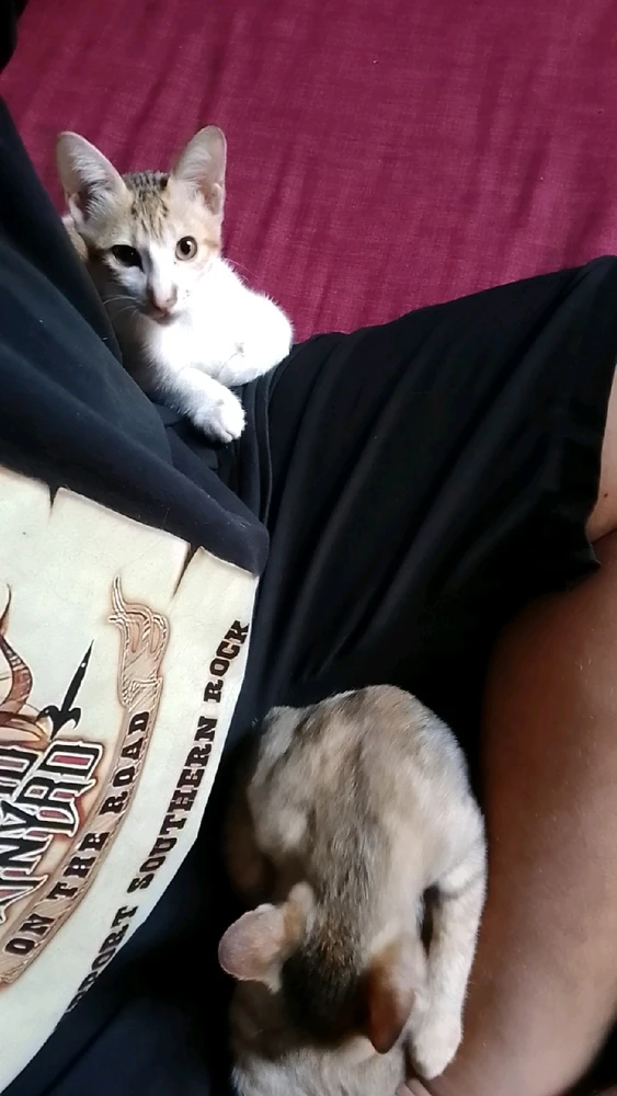 Image uploaded by Mikkel