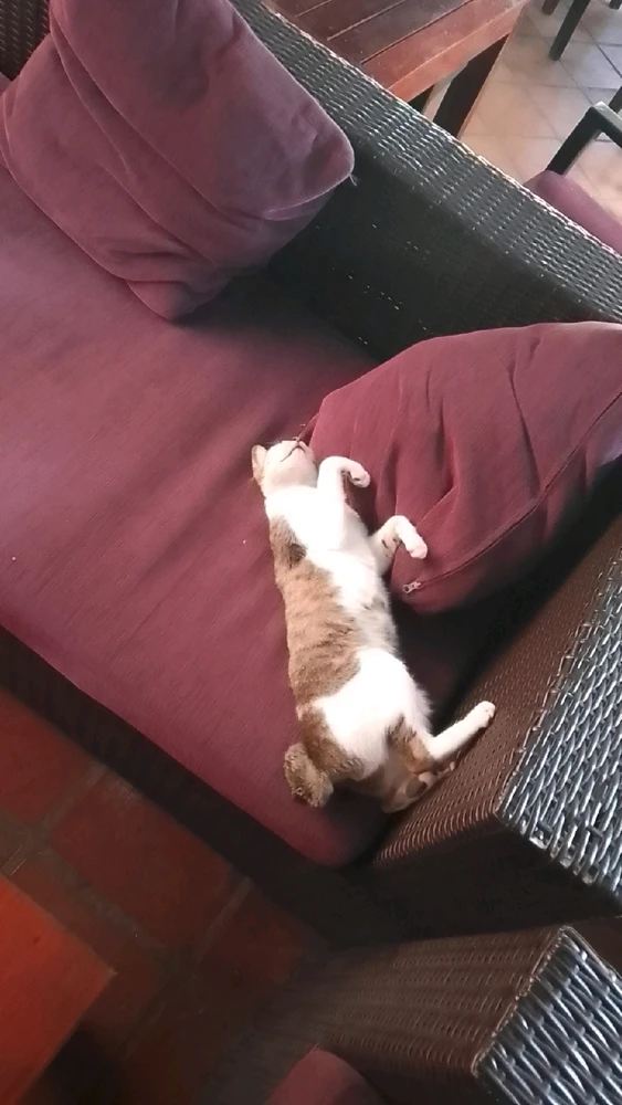 Image uploaded by Mikkel