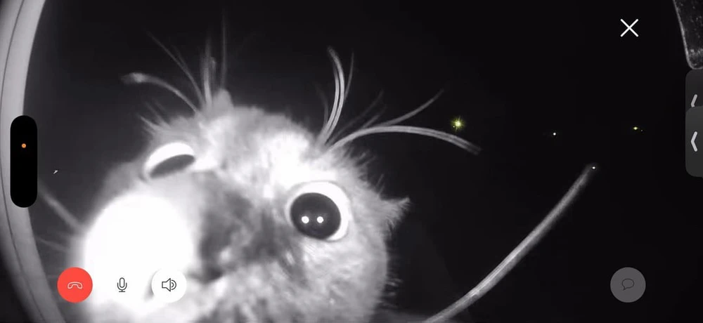 GIF uploaded by Iago