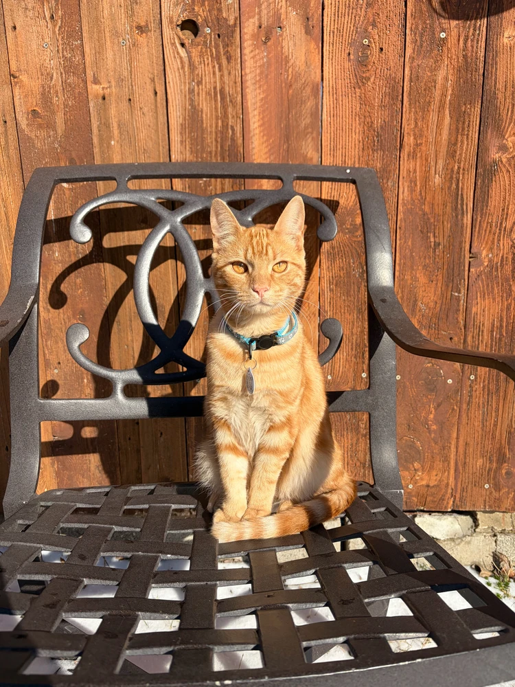 GIF uploaded by Jonathan