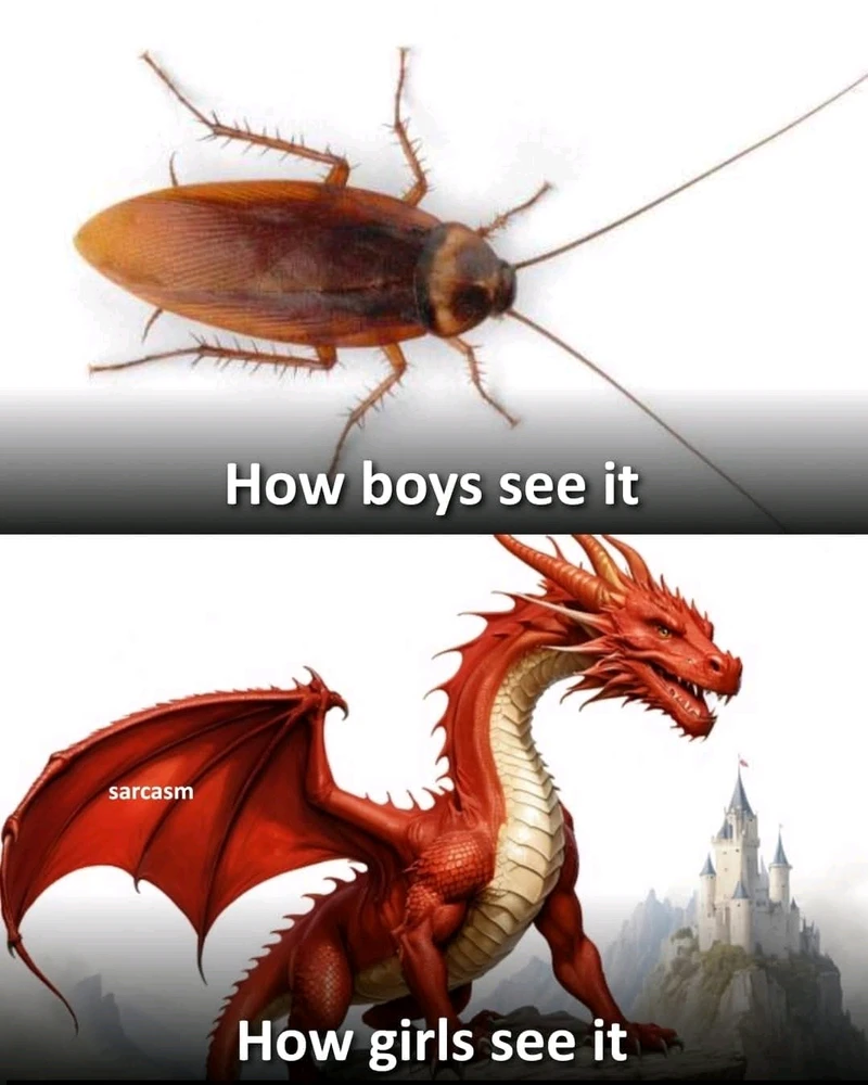 GIF uploaded by Chrif