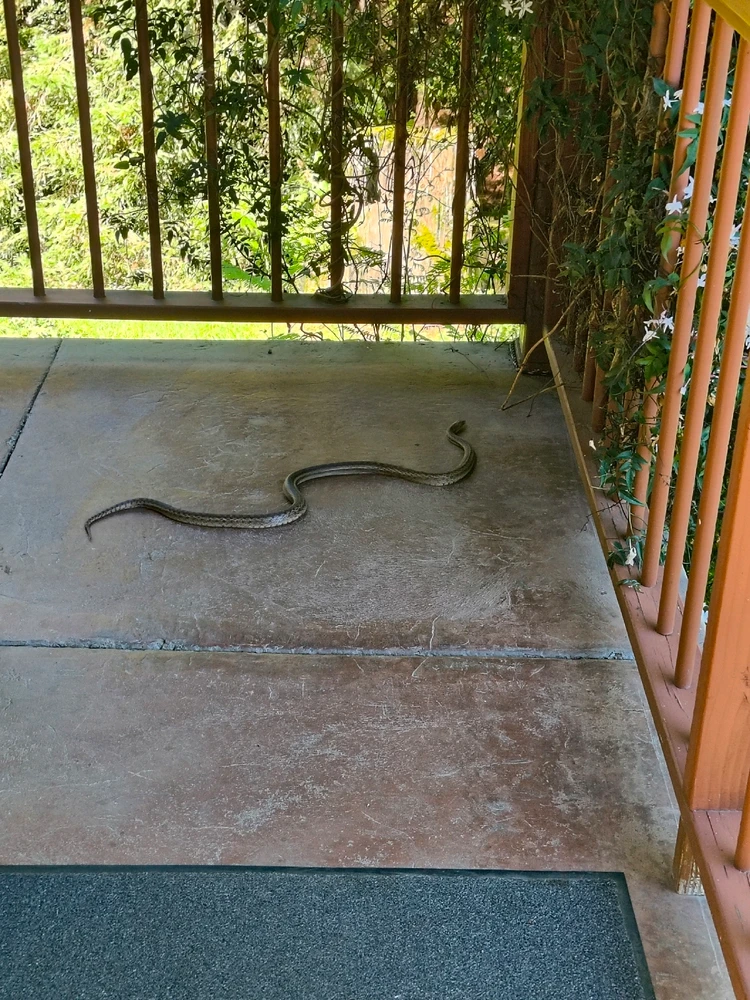 GIF uploaded by Christian