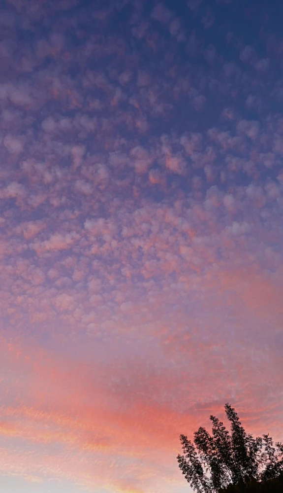 GIF uploaded by Vani