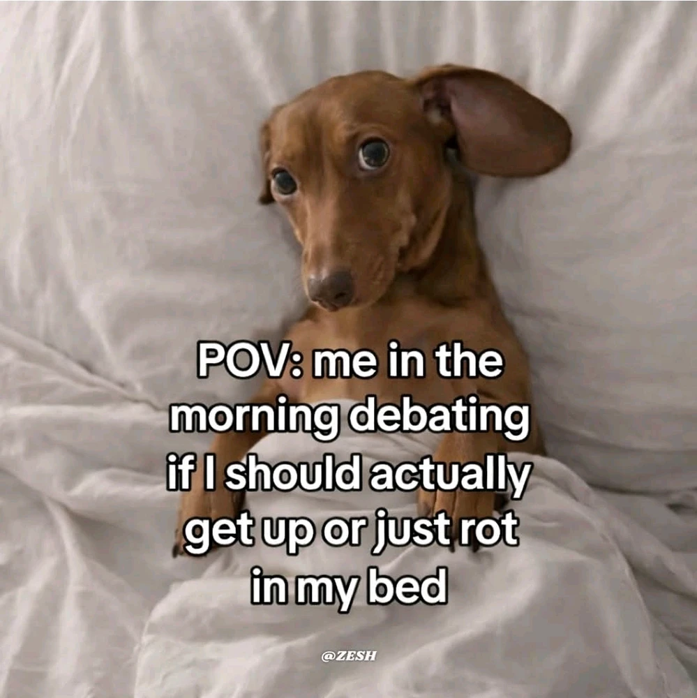 GIF uploaded by Lída