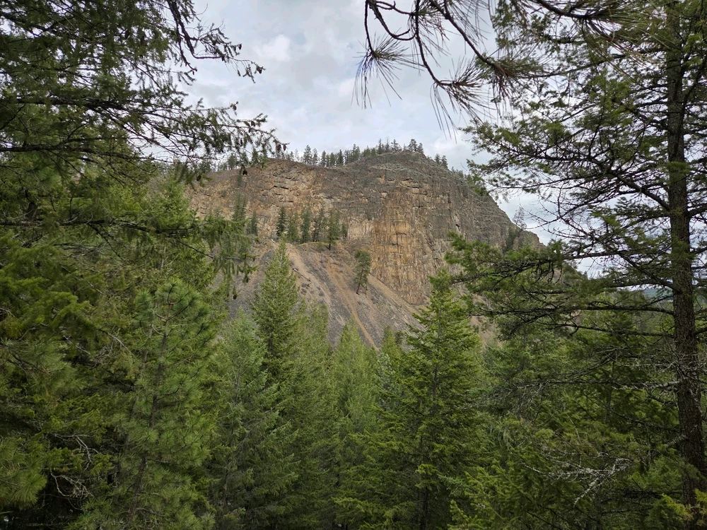 Image uploaded by Aiden