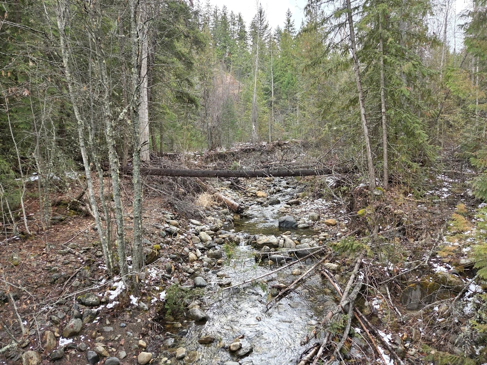 Image uploaded by Aiden