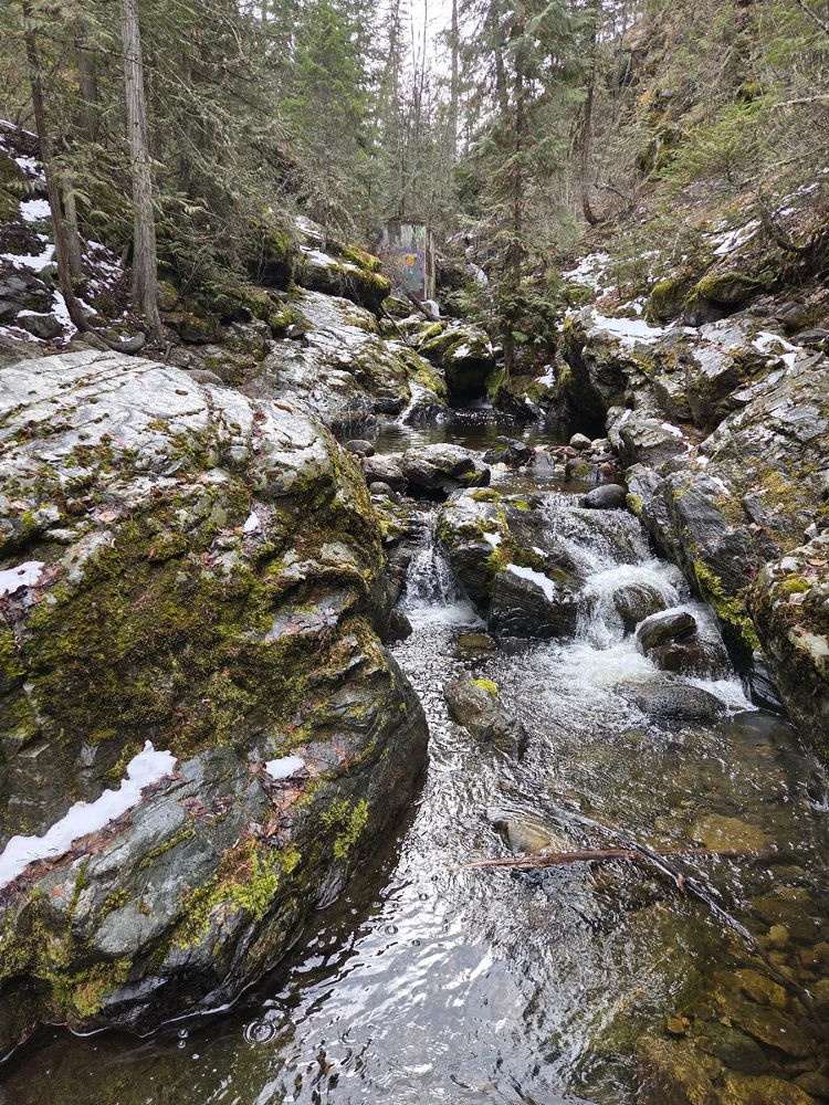 Image uploaded by Aiden