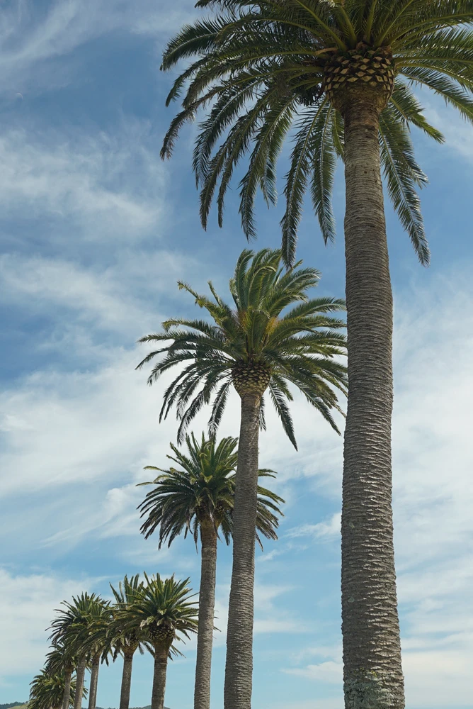 Image uploaded by May