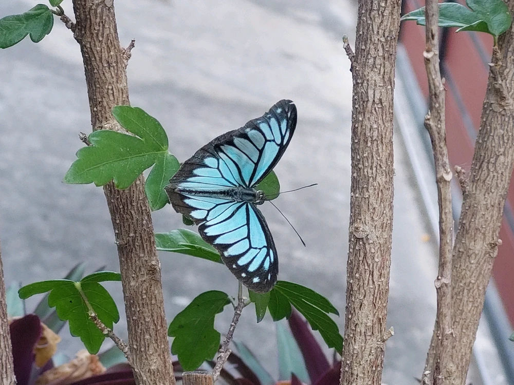 GIF uploaded by NiceNice