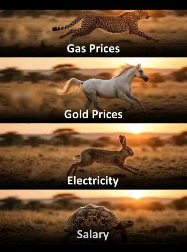 GIF uploaded by Andy