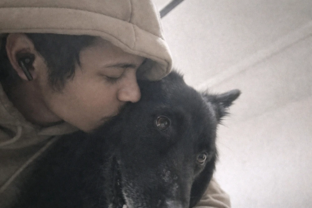 GIF uploaded by Ansh