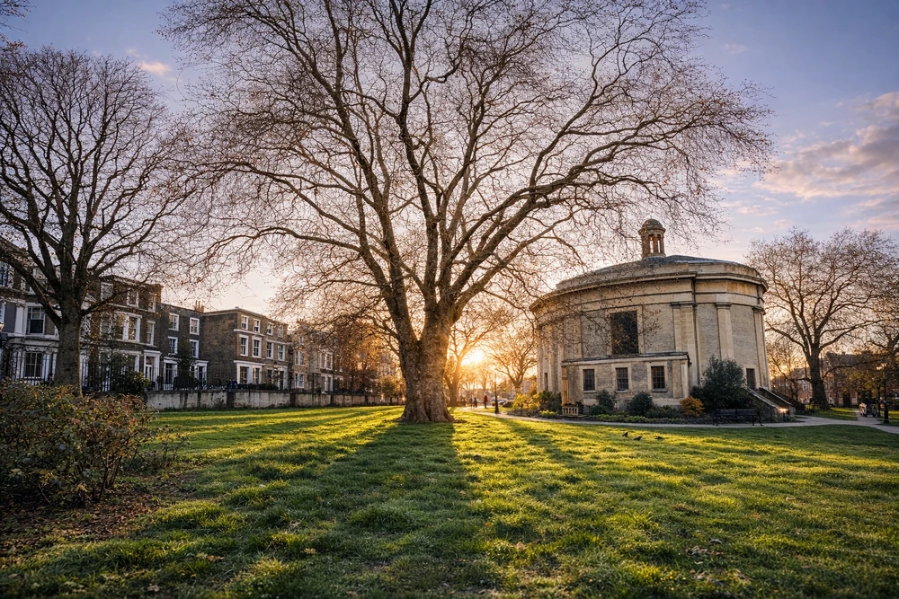 Image uploaded by Dan