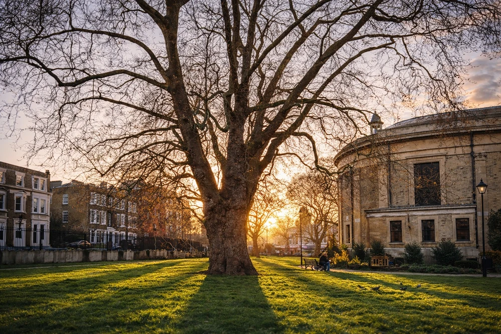 Image uploaded by Dan