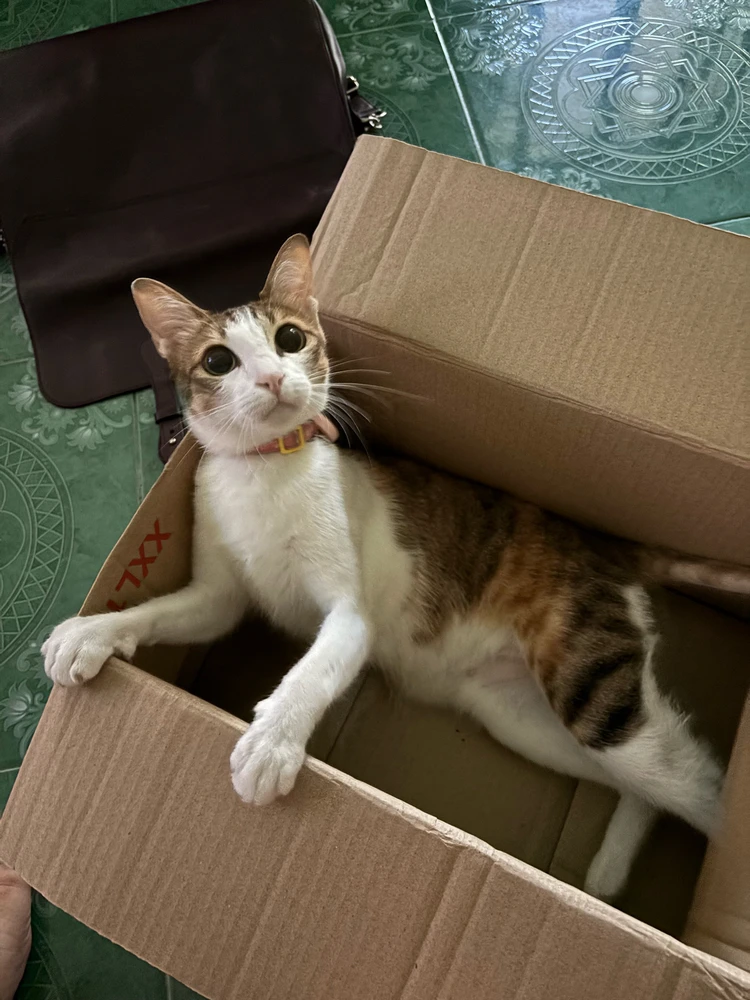 GIF uploaded by Pat♡