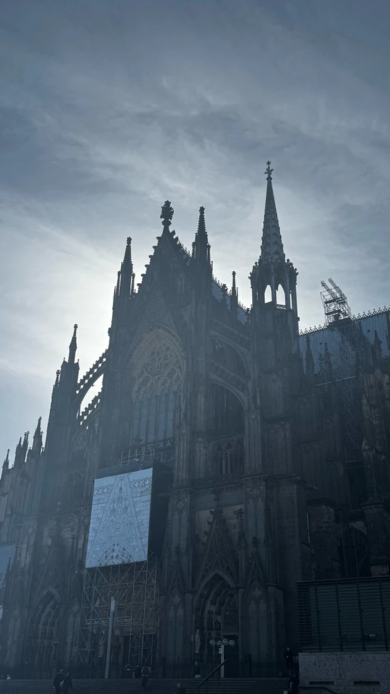 Image uploaded by Shahriar