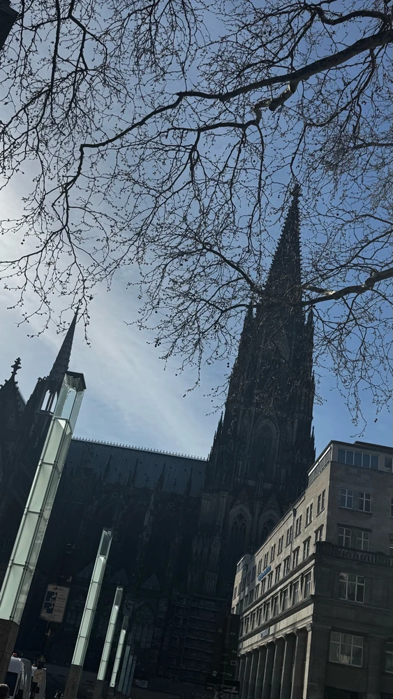 Image uploaded by Shahriar