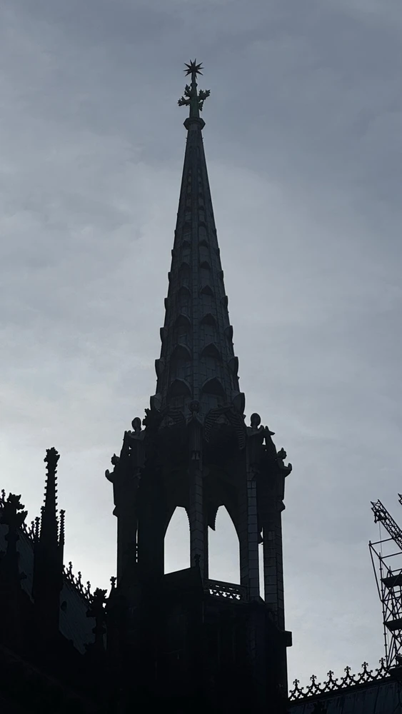 Image uploaded by Shahriar