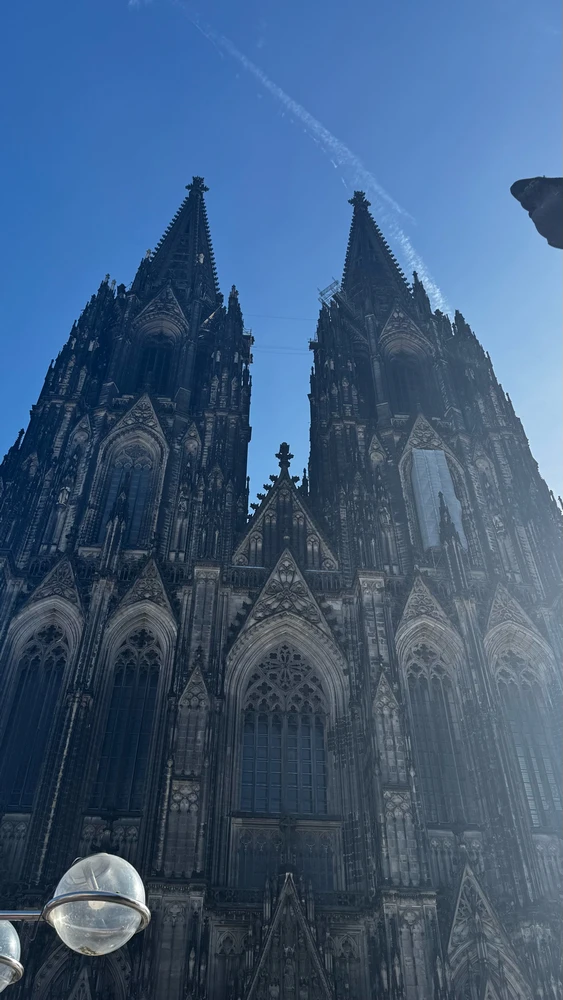 Image uploaded by Shahriar