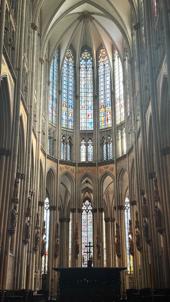 Image uploaded by Shahriar