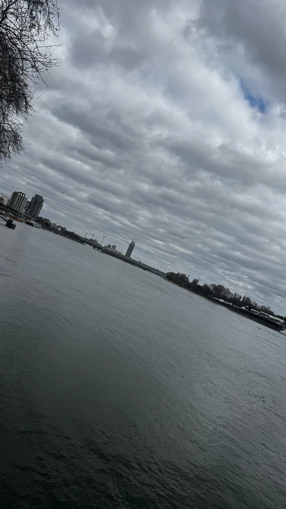 Image uploaded by Shahriar