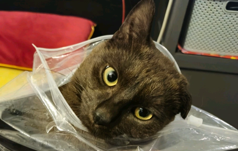 GIF uploaded by Alex