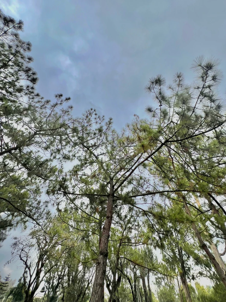 Image uploaded by Trixie