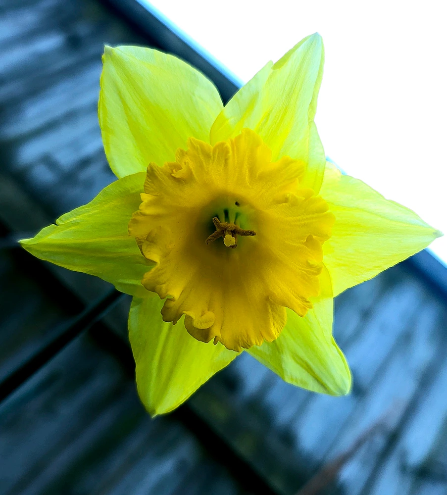 GIF uploaded by Sacha