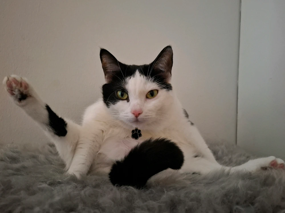 GIF uploaded by Aida