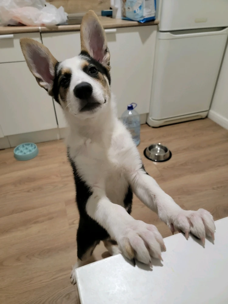 Image uploaded by seraph