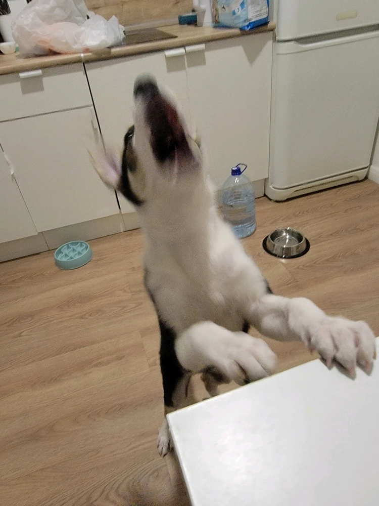 Image uploaded by seraph