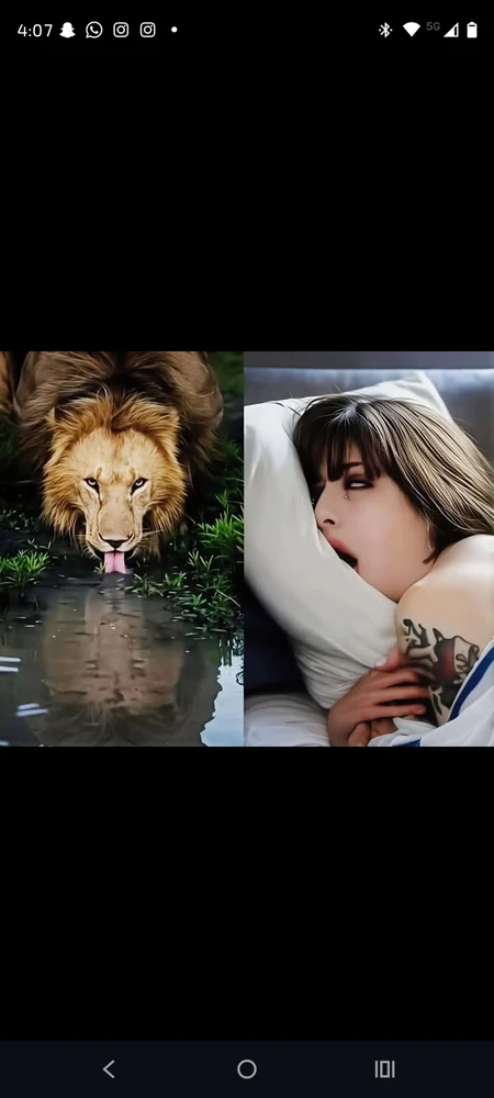 Image uploaded by Gaia