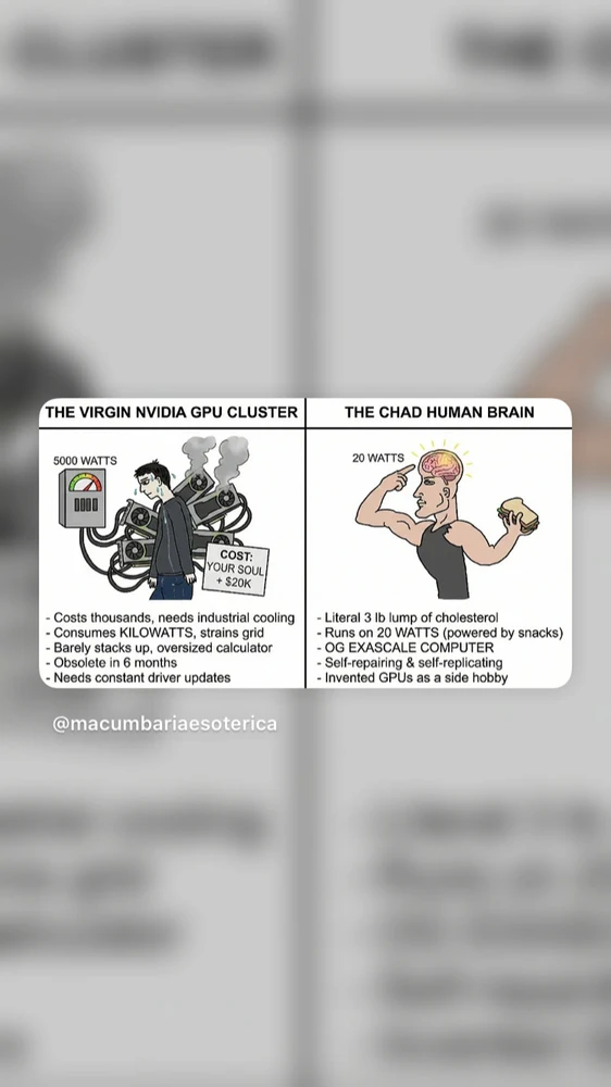 Image uploaded by David