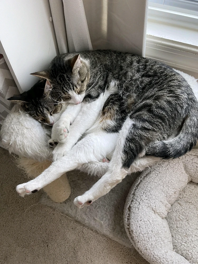 GIF uploaded by Alex