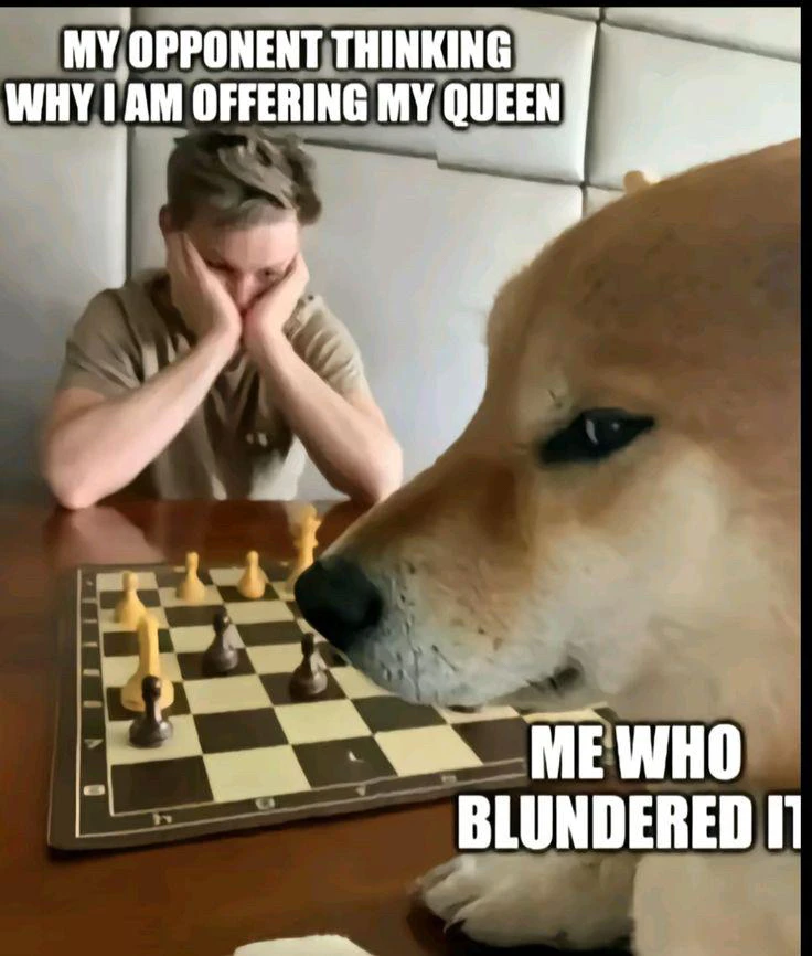 GIF uploaded by Ronen