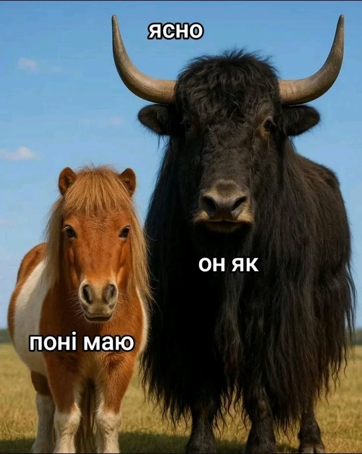 Гіфку завантажив Natalia🦇