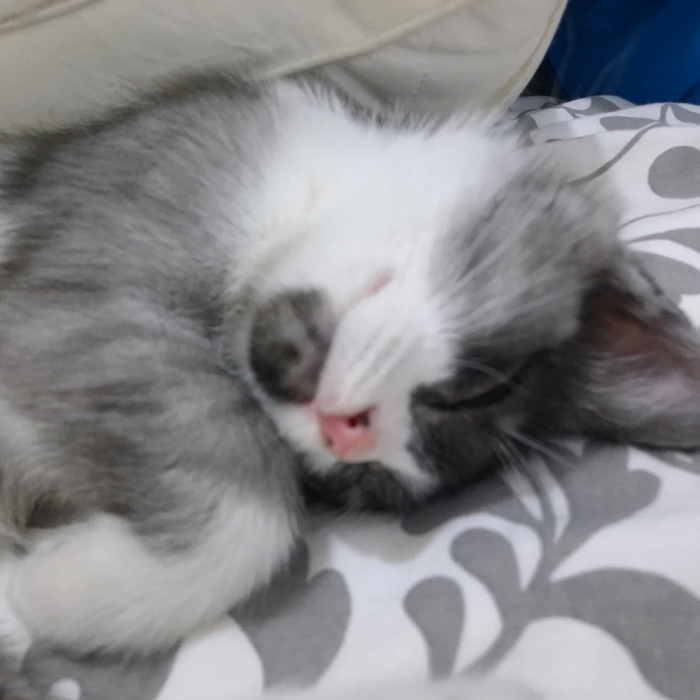 GIF uploaded by Nylej