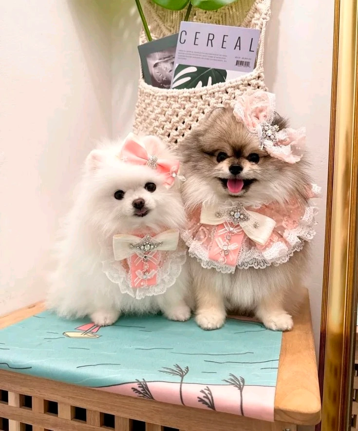 Image uploaded by Princess