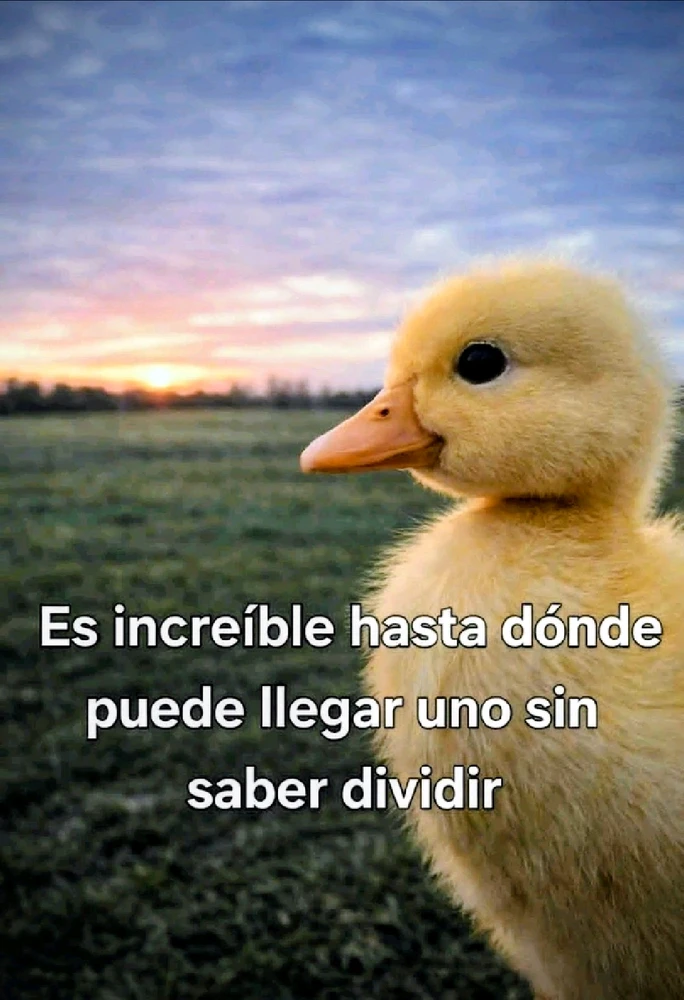 GIF subido por Vianet