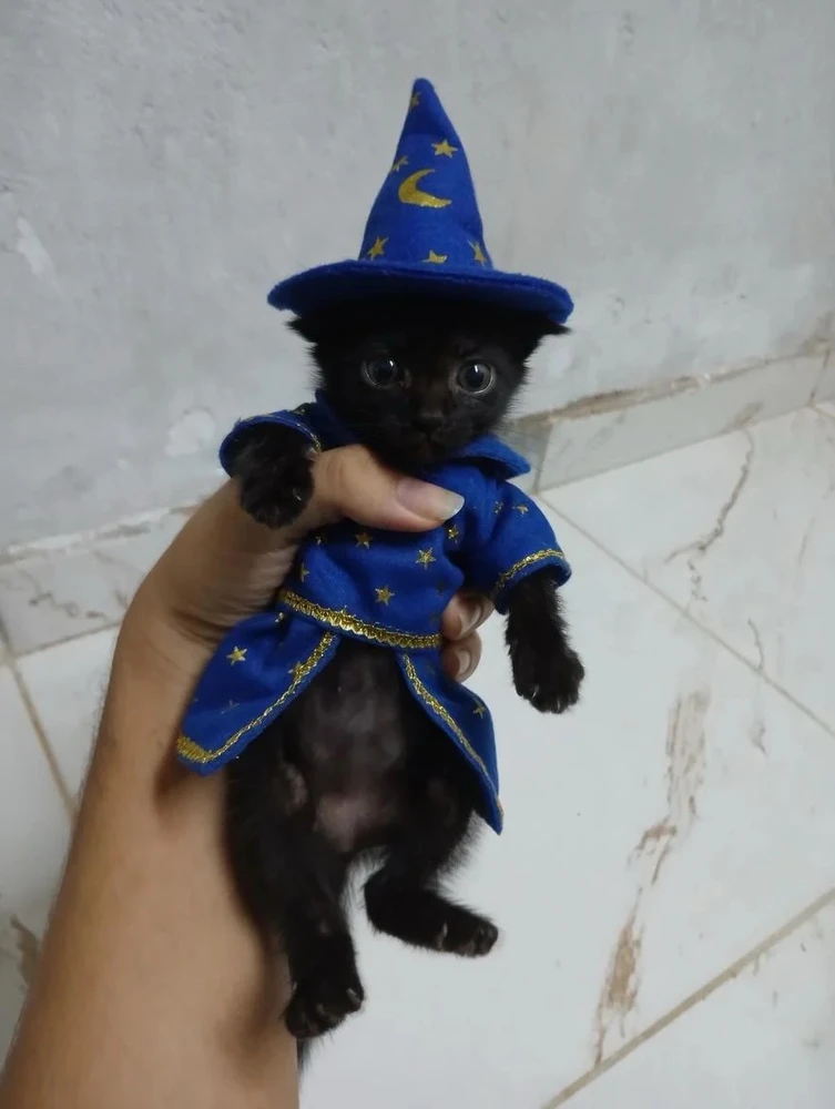 GIF na in-upload ni Iago
