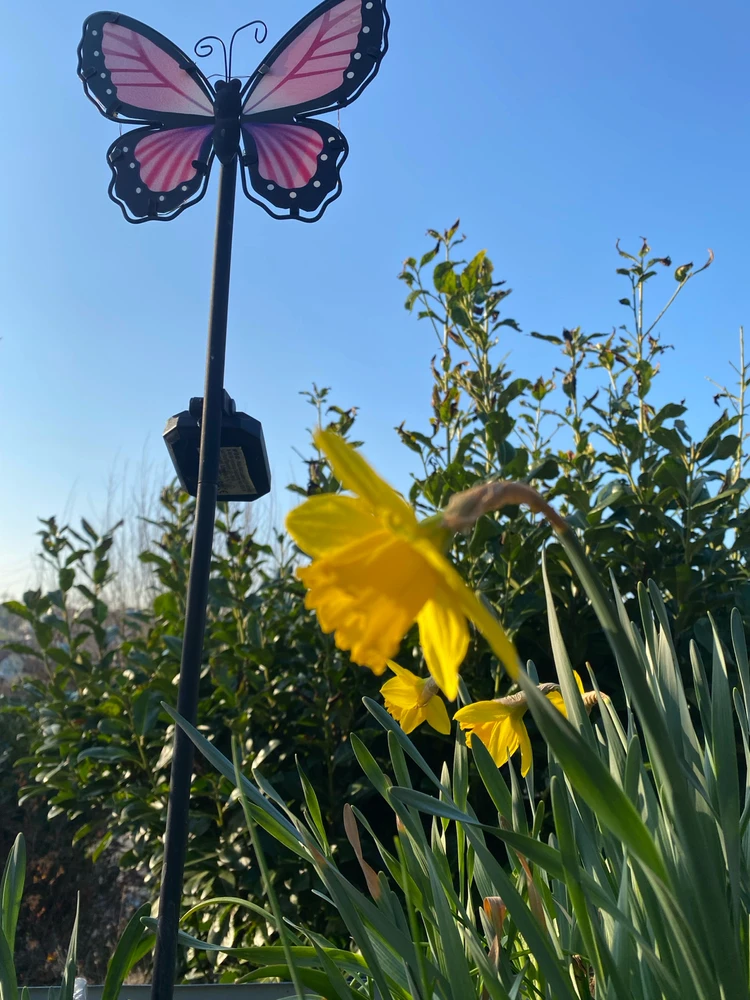 GIF uploaded by Liviu