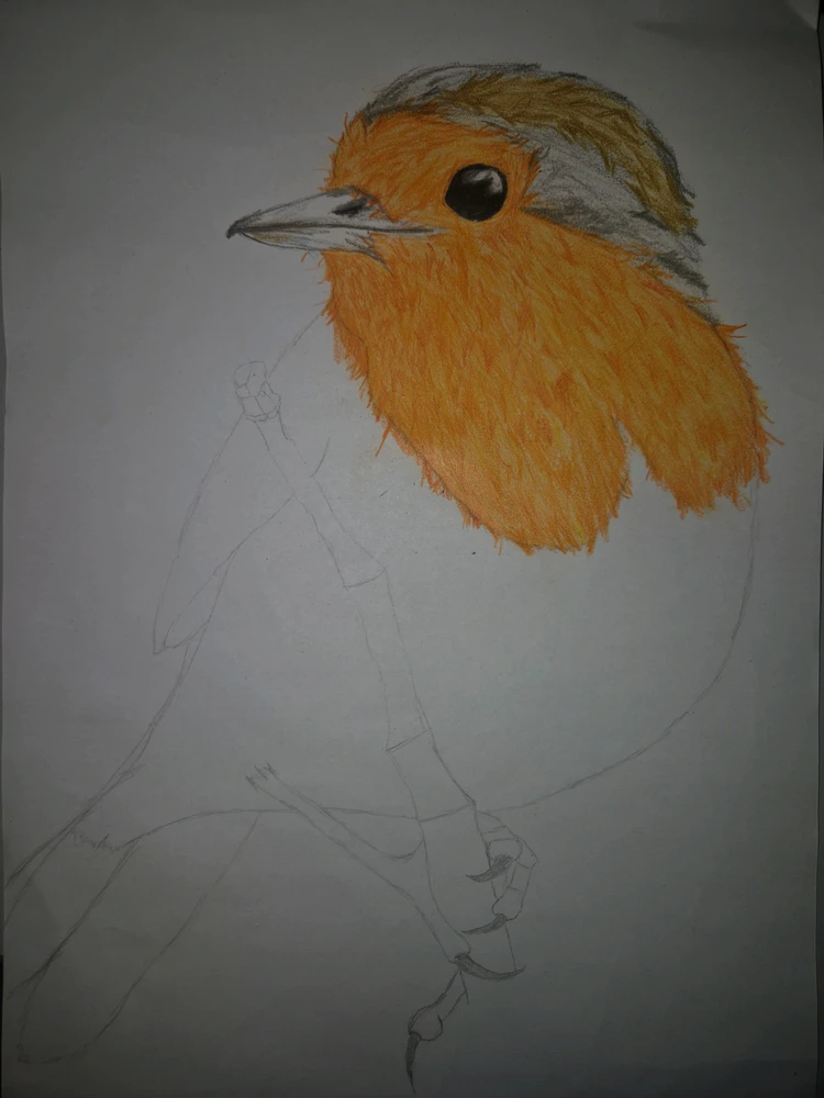 GIF hochgeladen von Justus