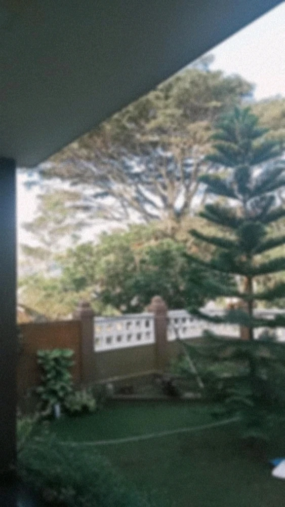 GIF uploaded by Vindy