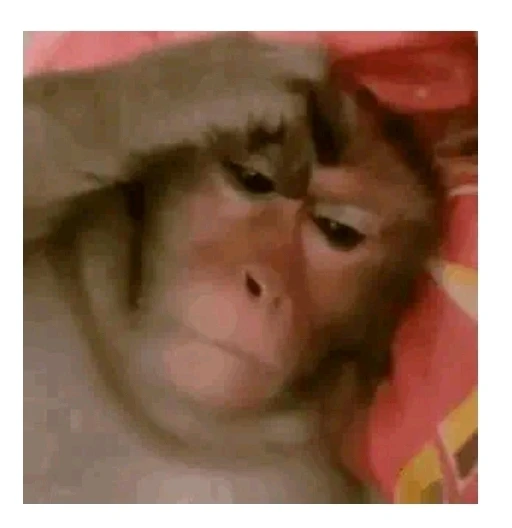 GIF gi-upload ni Nita