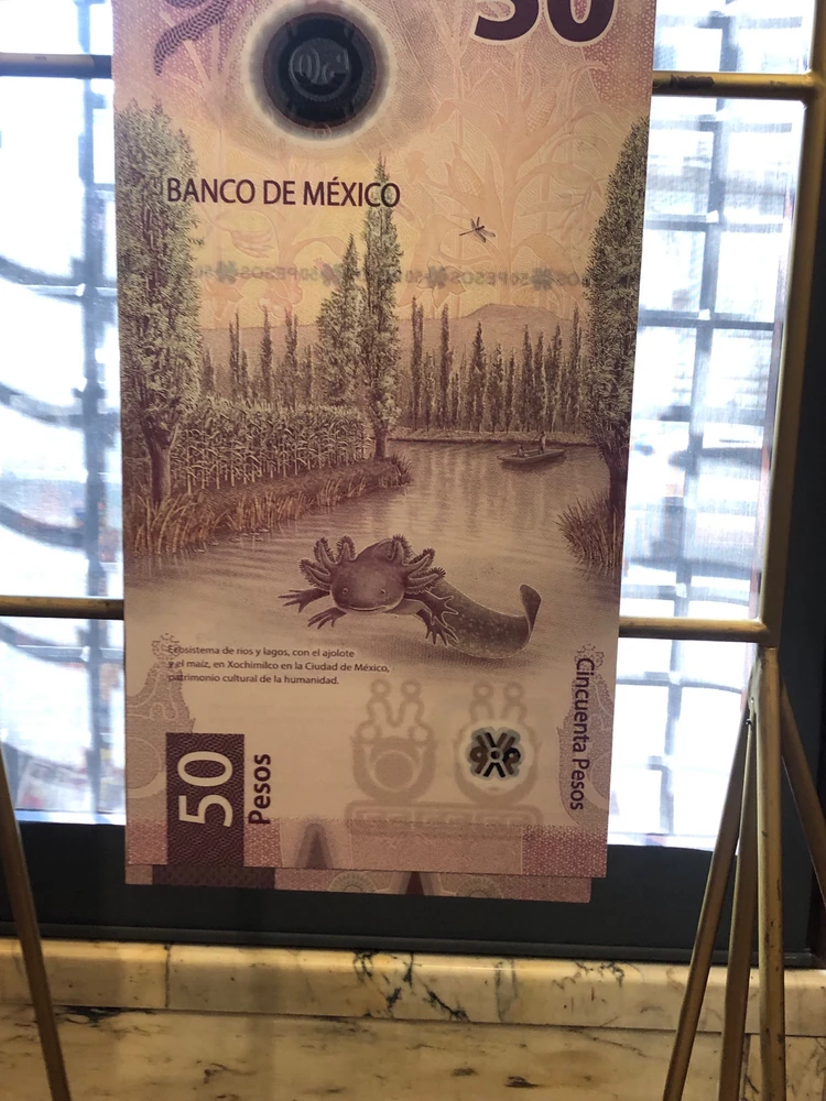 Image uploaded by Julio Enrique 🇲🇽