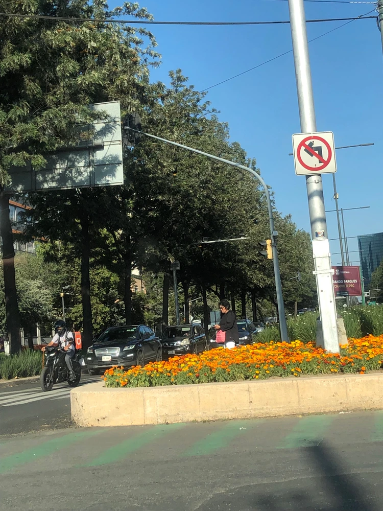 Image uploaded by Julio Enrique 🇲🇽