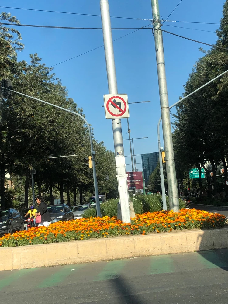 Image uploaded by Julio Enrique 🇲🇽