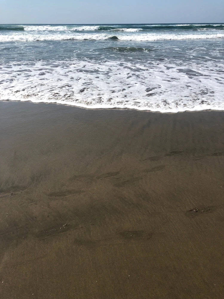 Image uploaded by Julio Enrique 🇲🇽