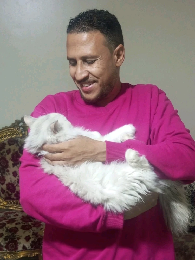 Image uploaded by Mohammed