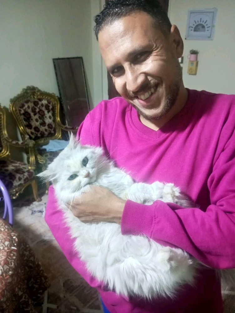 Image uploaded by Mohammed